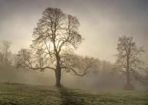 Weight loss secrets to maintain results and prevent rebound