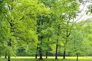 10 ways to quickly say goodbye to constipation