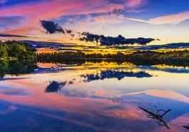 A Deep Dive into Five Popular Online Weight Loss Methods