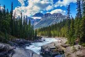 Angelababy's weight loss method