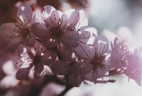 There are many celebrity methods, and one of them is bound to suit you.