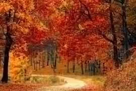 Super effective and easy weight loss tips in 60 seconds