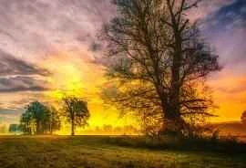 Is the coarse salt diet effective? The simplest way to lose weight.