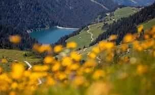 This is the only way to lose weight