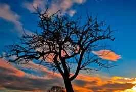 8 Weight Loss Habits That Help You Lose Weight Without Even Realizing It