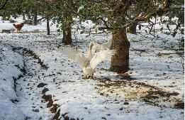 The world's most recognized top habits for weight loss