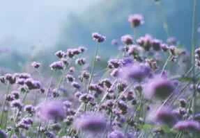 9 Healthy Ways to Lose Weight in Spring