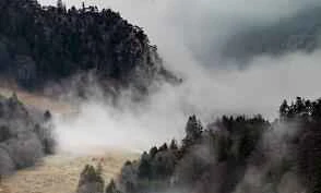 Honey diet for a beautiful figure