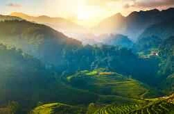 Winter Plan for Homebodies