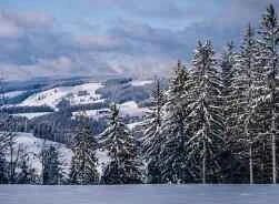 A 24-hour weight loss plan to lose one size size every day