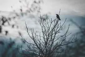 A Comparison of 7 Weight Loss Methods