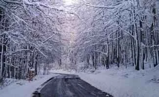 Several methods to help you lose weight successfully