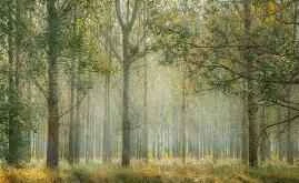 Remember these ten "don'ts" and it won't be a dream anymore!