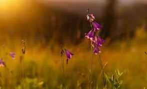 Tips for weight loss: Eat and drink to lose weight easily