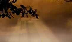 How can I quickly lose weight if I'm bloated?