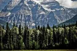 50 Weight Loss Secrets to Stay Slim