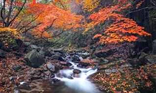 A collection of fast weight loss methods without medication