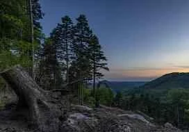 Quickly lose weight and reduce water retention