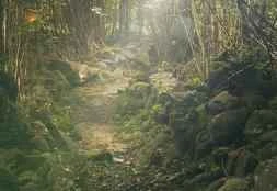 Believe it or not! Rubbing your feet for 2 minutes every day can help you lose 10 pounds a month.