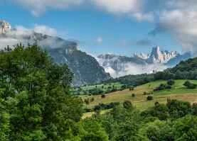 How to diet to lose weight healthily