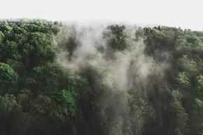 The most powerful weight loss experience: from 200 to 120