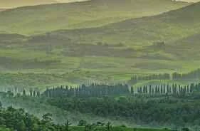 24 Weight Loss Tips Summarized by an Expert