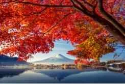 13 Tips to Prevent Weight Rebound