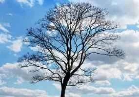 The best methods: 5 of the most ruthless weight loss methods in history