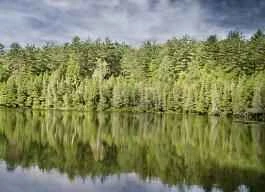 Weight loss methods that help you lose weight quickly