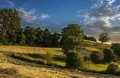 How to stay slim after 25