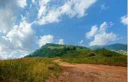 The most effective weight loss home remedies to help you lose weight completely in one go