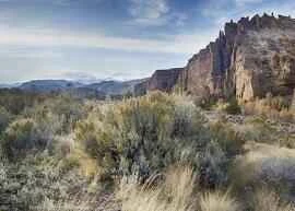 Springtime Weight Loss Methods for the 12 Zodiac Signs