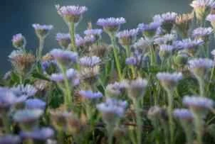 Eight key points for a spring weight loss plan