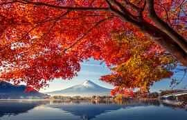 9 ways to lose weight in early spring