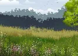 The latest and most popular weight loss secrets ranking