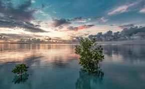 Lazy Girl's 5 Tips to Lose 20 Pounds