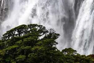 One weight loss method is better than another.