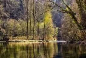 White-collar women drink slimming tea while working