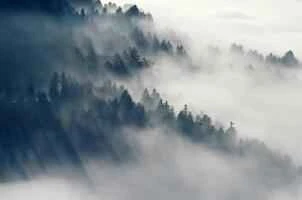 8 best ways to get rid of excess oil after the Spring Festival