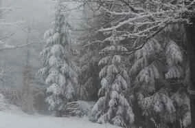 4 simple steps to lose weight and enjoy a healthy winter.