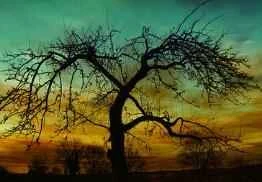 9 Weight Loss Methods That Will Help You Lose Weight Quickly