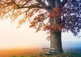 Celebrities have their own secrets to losing weight after the Spring Festival.