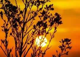 5 essential techniques to get rid of obesity