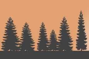 Healthy weight loss methods specifically for 6 types of obesity