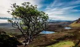 Quick tips for brides-to-be