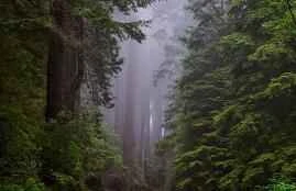 Weight Loss Tips: Celebrities Share Their Experiences and Teach You How to Lose Weight Quickly