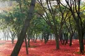 Five body types that are difficult to lose weight: Traditional Chinese Medicine weight loss methods