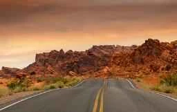 Bitter melon diet helps you lose weight instantly.