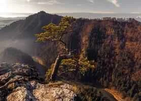 Three experts share their weight loss experiences