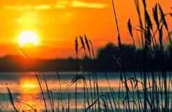 Quick Weight Loss Strategies of Female Stars Representing the 12 Zodiac Signs